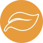 fibre
