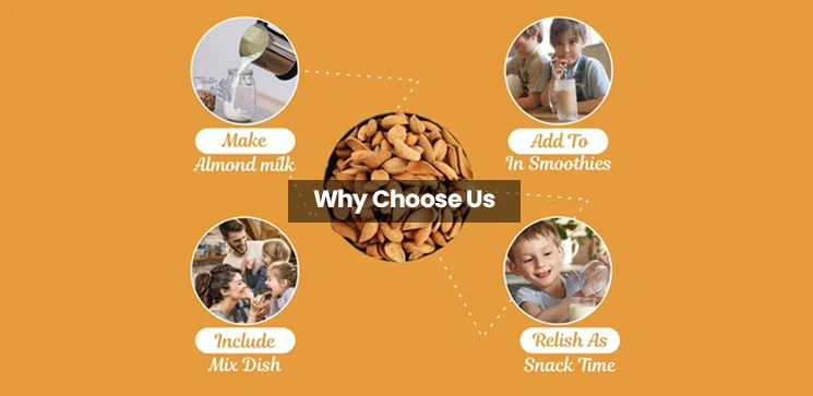 why-choose-us